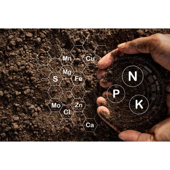 FERTILIZER NPK /15/15/15