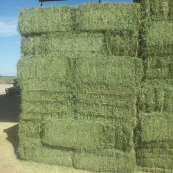 PLASTIC STRECH FiLM