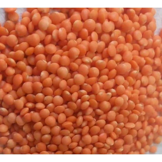 RED LENTİLS