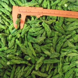 FROZEN GREEN ASPARAGUS