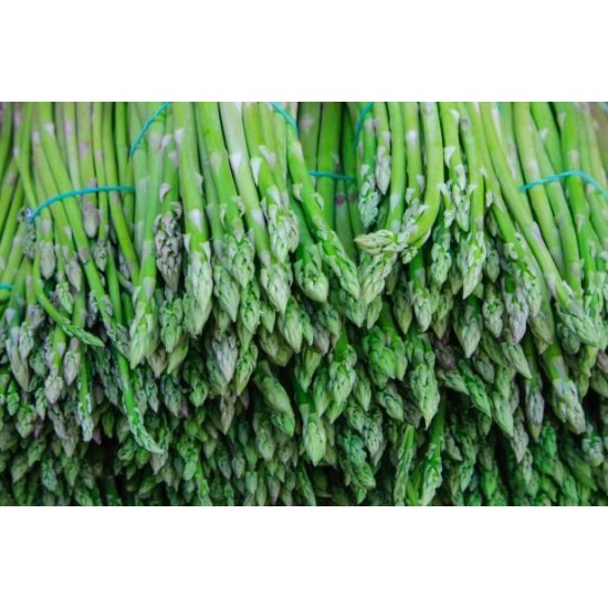 FROZEN GREEN ASPARAGUS