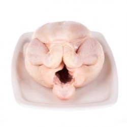 FROZEN WHOLE CHICKEN GRILLER GRADE A
