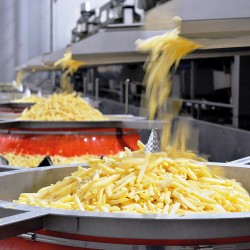FROZEN POTATOES