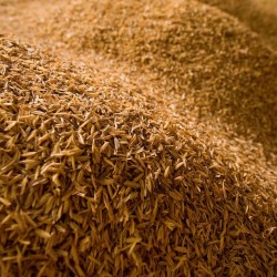 RICE HUSK