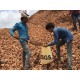 GİBBSİTİC BAUXİTES ( Trihydratic )