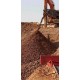 GİBBSİTİC BAUXİTES ( Trihydratic )