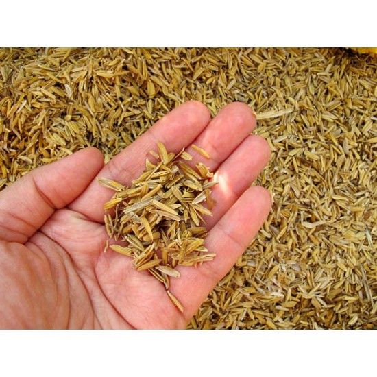 RICE HUSK