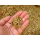 RICE HUSK